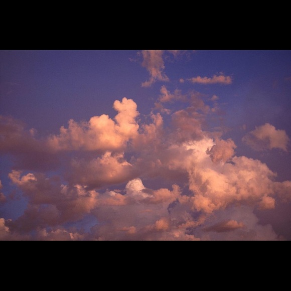 Meet your Posher, M - Picture 1 of 1